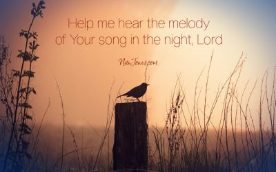 You’re the Song in My Night. Help Me Hear the Melody