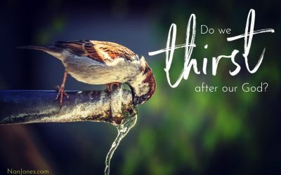 Anticipating God’s Sustenance, Gathering His Grace