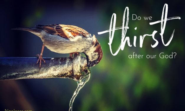 Anticipating God’s Sustenance, Gathering His Grace