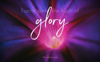 The Purpose of Transition and the Hush of Glory