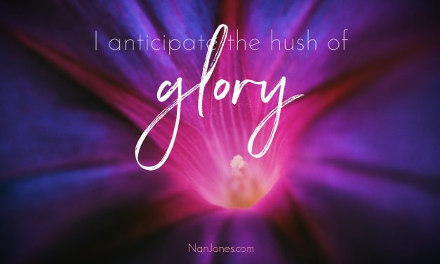 The Purpose of Transition and the Hush of Glory