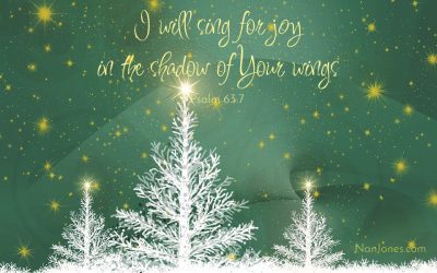 You Promised Joy, Lord. Help Me Find It Once Again