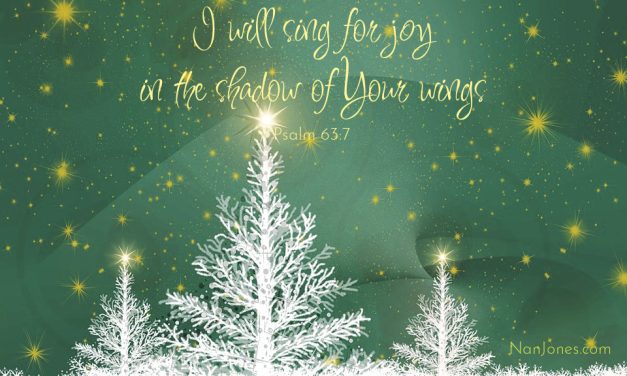 You Promised Joy, Lord. Help Me Find It Once Again