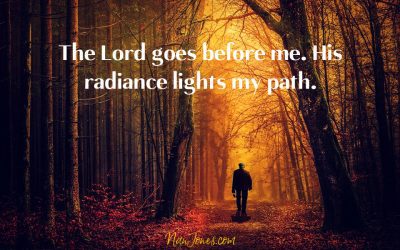 Pondering Dappled Light and My Walk of Faith