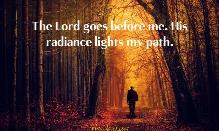 Pondering Dappled Light and My Walk of Faith