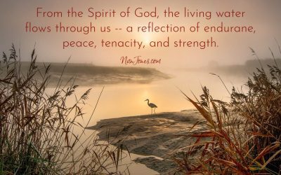 When Notes of Endurance Sing a Song of Peace