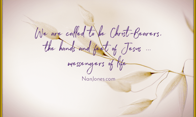 One Solitary Evergreen Shouts Life in Winter Bleak