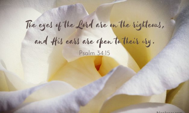 Crimson on Branches Bare…Reminders of God’s Love