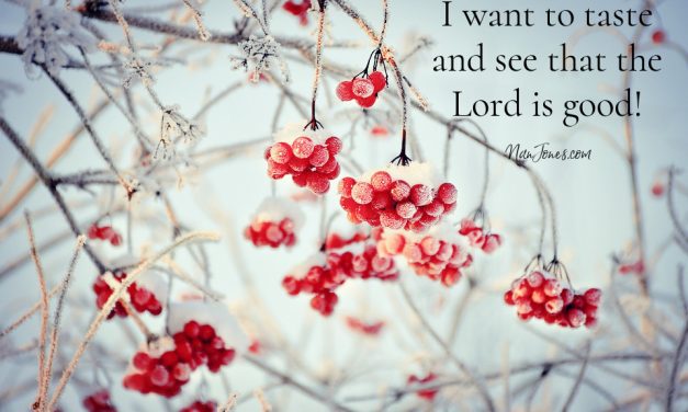 My Spirit Knows What My Eyes Can’t See: God’s Grace