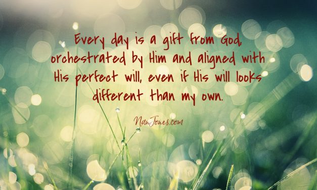 Finding Pearls of Great Price Among the Daylilies