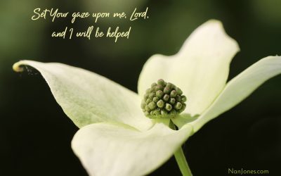 Your Eyes Roam the Earth, Lord. Set Your Gaze on Me