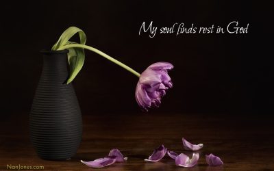 O Lamb of God, I Come to You to Find Rest