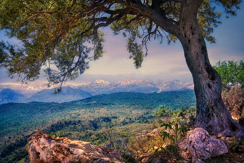 The Lord leads us to our own Garden of Gethsemane.