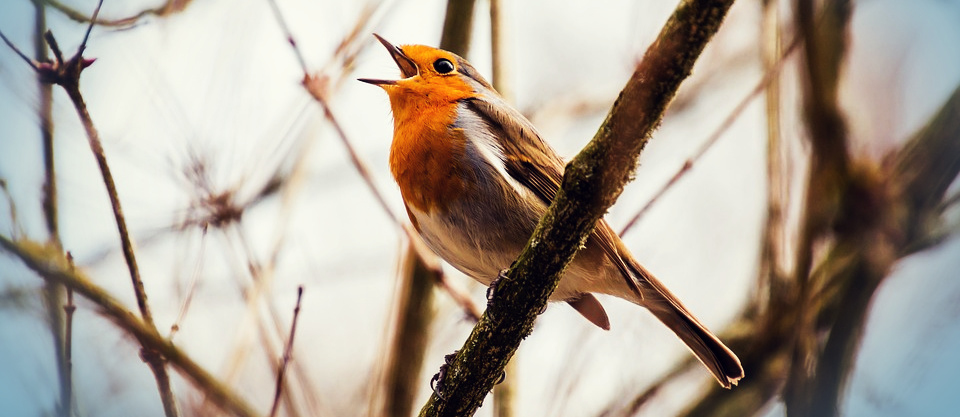 a holy hush gave way to exuberant praise