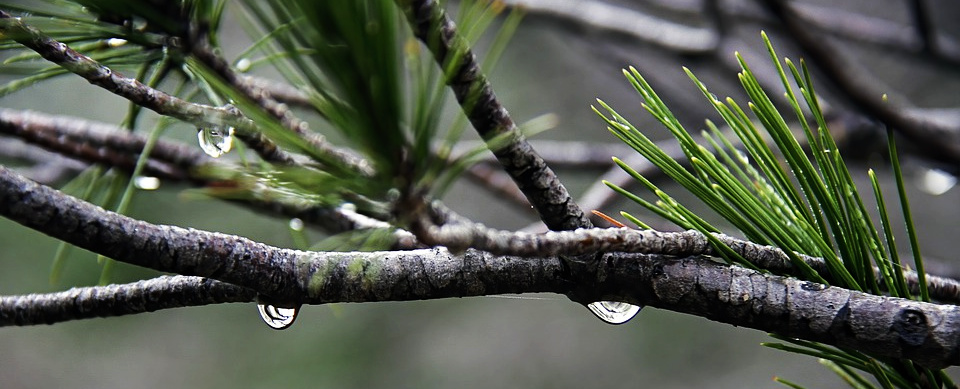 Ponderings About the Threshold of Transition