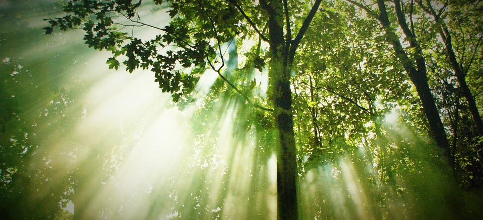 a threshold of transition