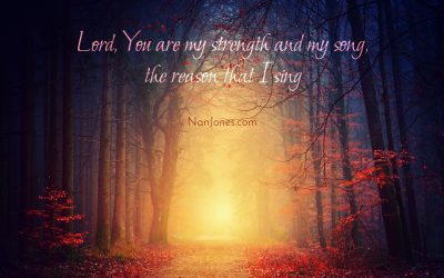 You Are My Strength and My Song. I Need You, Lord