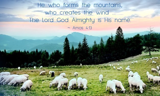 I Found Myself in Stillness Even in the Rushing Wind