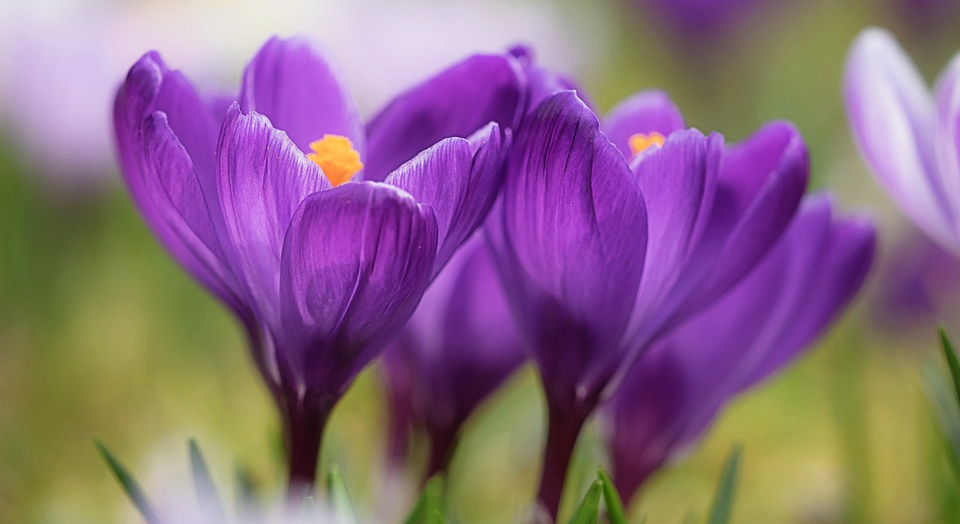 I Found Myself in Stillness Even in the Rushing Wind - Nan Jones