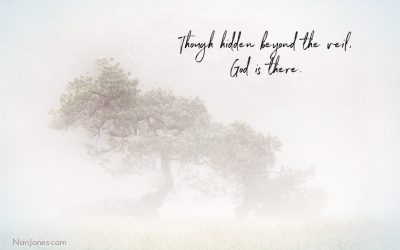Beyond the Veil of Fog, A Hidden World Exists