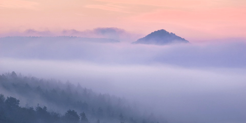 beyond the veil of fog