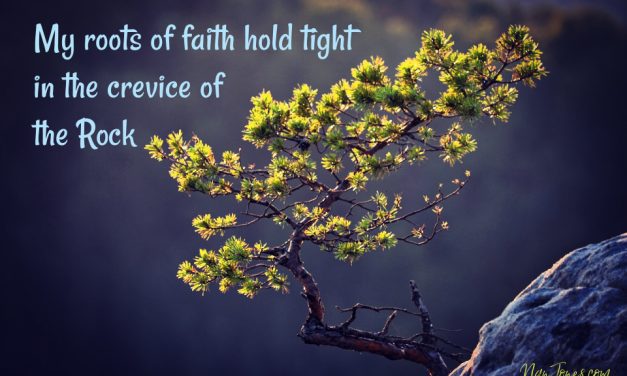 Roots Dug Deep, Challenging the Gale-Force Winds