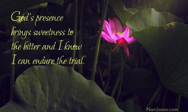 You are My Shepherd, Lord. Lead Me Through This Valley