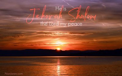 Finding a Peace Long Sought After — Jehovah Shalom