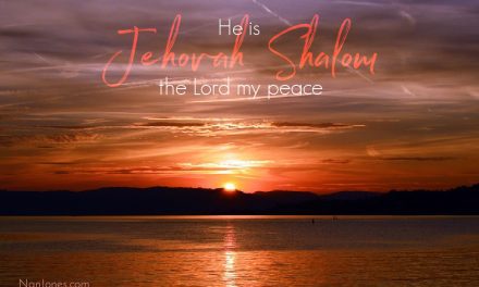 Finding a Peace Long Sought After — Jehovah Shalom