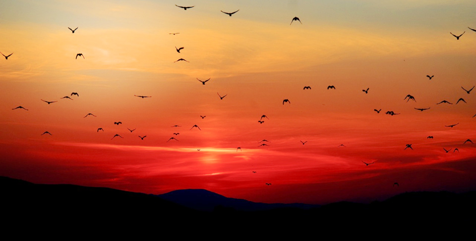 finding thankfulness in the difficult places