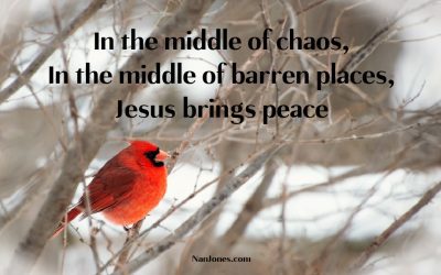 Deep Within the Barren Places, Life Flows.