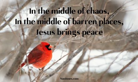 Deep Within the Barren Places, Life Flows.