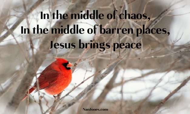 Deep Within the Barren Places, Life Flows.