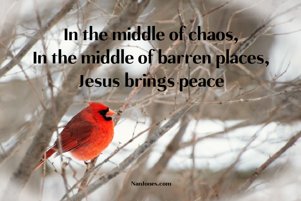 Deep within the barren places, life flows
