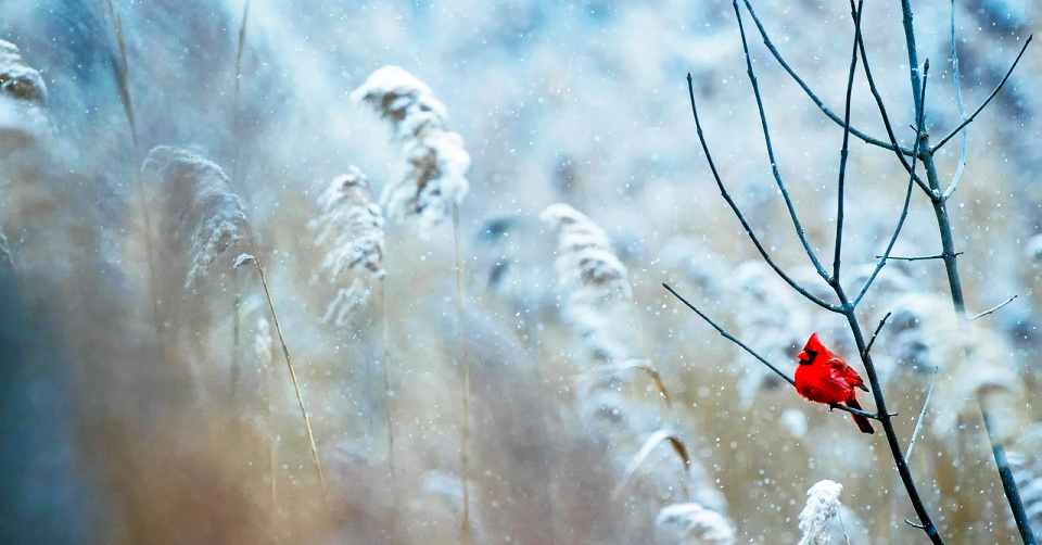 Deep within the barren places, life flows.