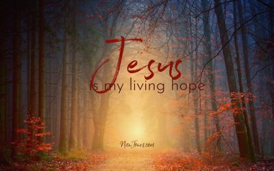 The Refuge of Brokenness, a Balm for My Soul