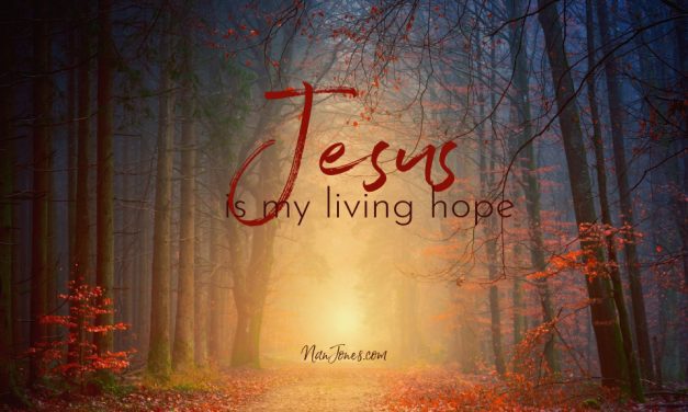 The Refuge of Brokenness, a Balm for My Soul