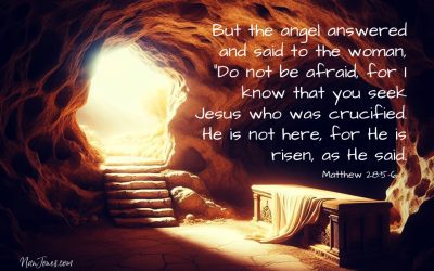 My Hope is Anchored in You Lord, for You are Alive!
