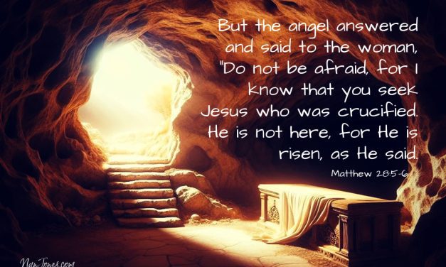 My Hope is Anchored in You Lord, for You are Alive!