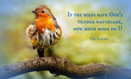 Trapped in the Overwhelm, My God Saw Me