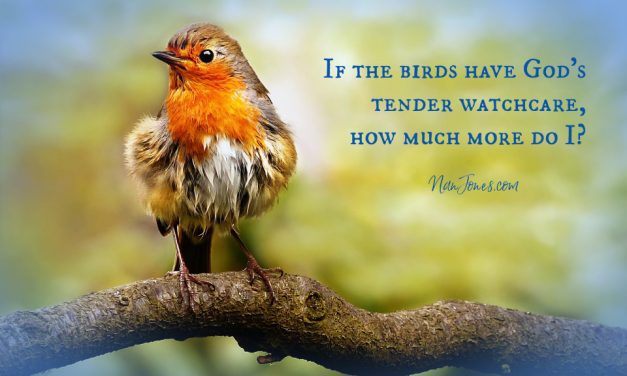 Trapped in the Overwhelm, My God Saw Me