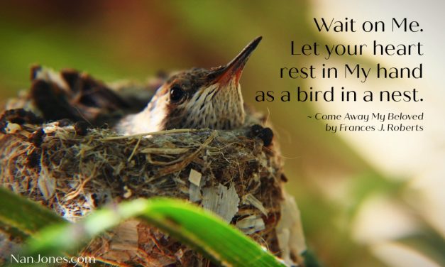 My Father’s Arms. A Sure Place in Uncertain Days