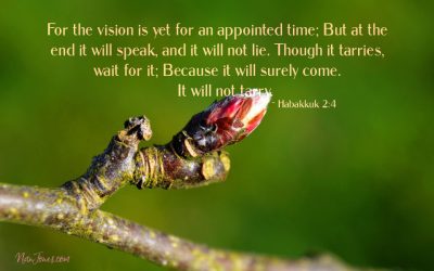 God’s Appointed Time is Perfection in Motion