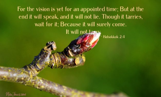 God’s Appointed Time is Perfection in Motion