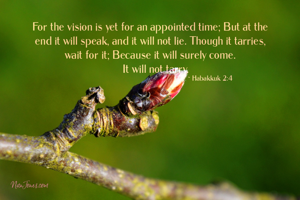 God's appointed time is perfection in motion