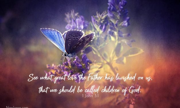 Grace Rains Notes of His Love in the Dark of Night