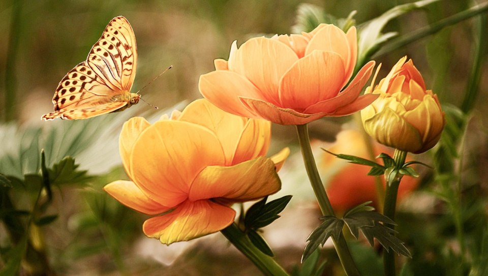 God's way produces peace