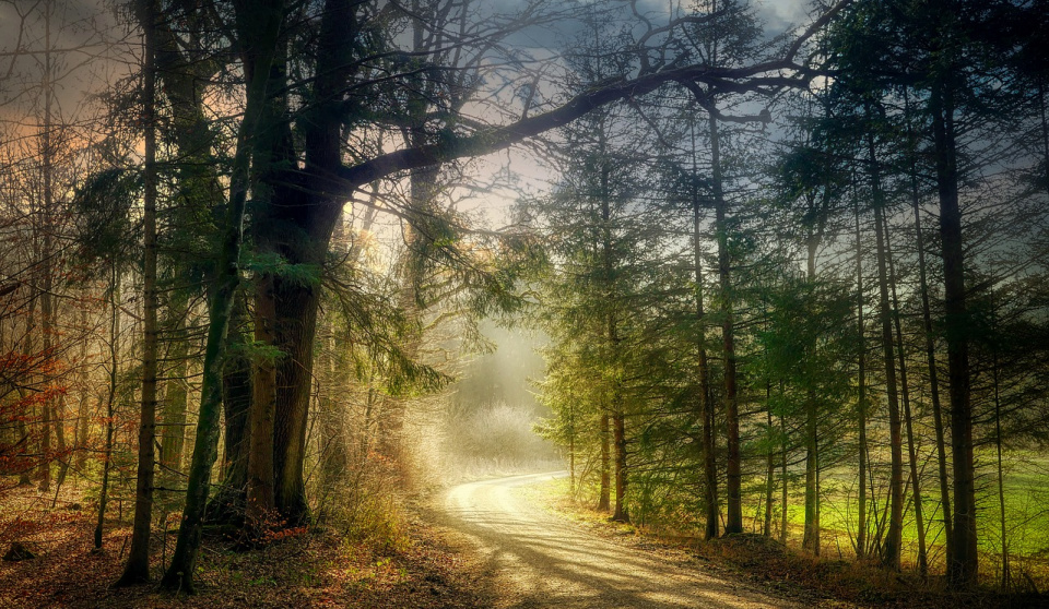 Heaven met earth and I responded, right there in the middle of a country road.