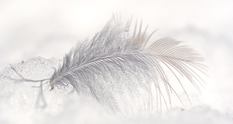 Your love comes softly/