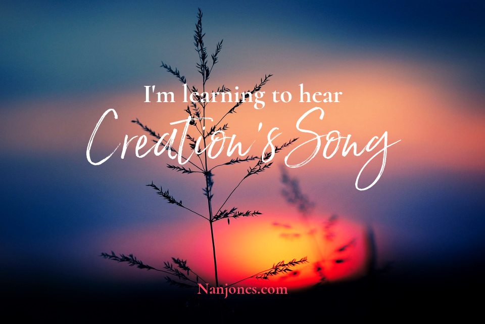 The Awakening of the Dawn from Eternity’s Perspective